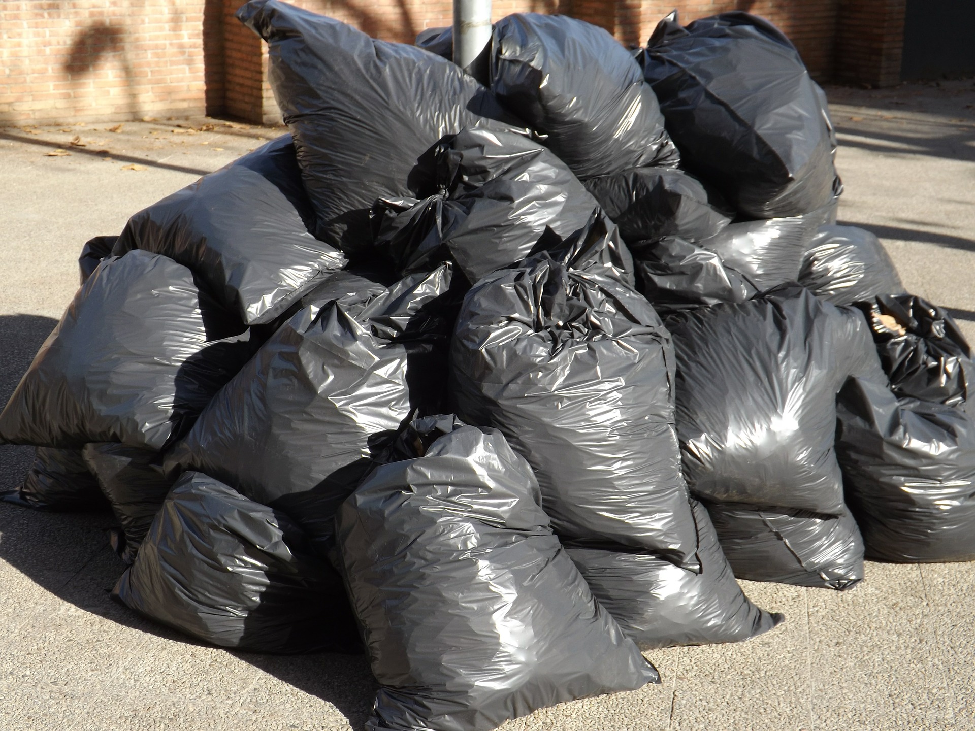 Who Invented the Green Garbage Bag? Harry Wasylyk