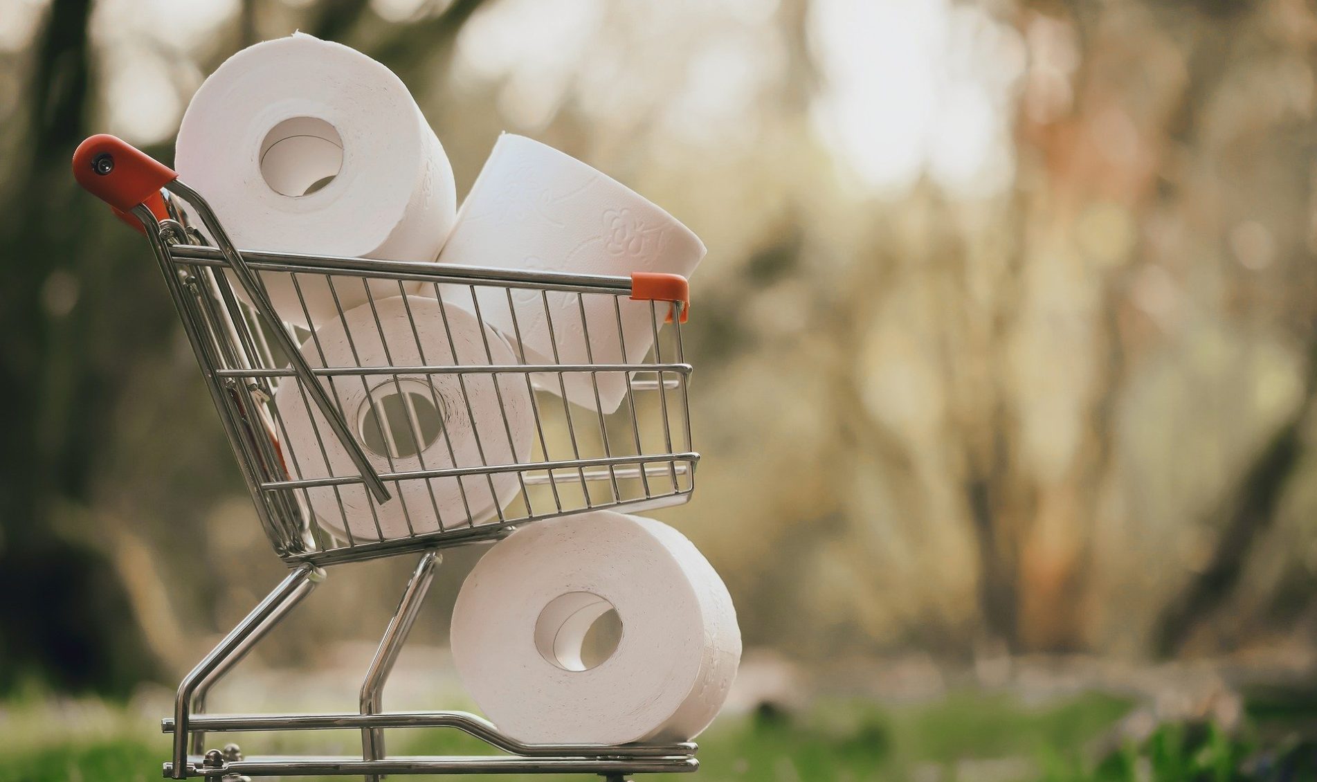 Tips On Selecting Right Toilet Paper Products For Your Bathroom